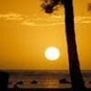 simplyhawaii